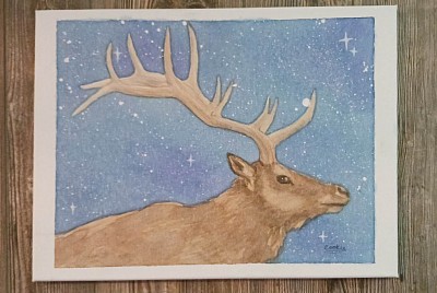 Elk