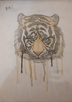 $15